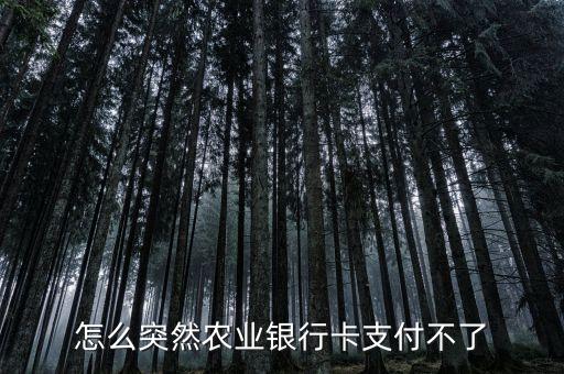 怎么突然農(nóng)業(yè)銀行卡支付不了