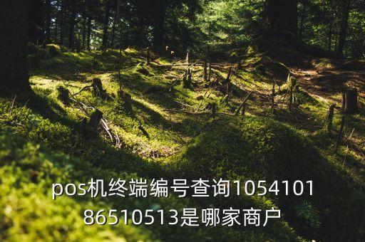 pos機終端編號查詢105410186510513是哪家商戶