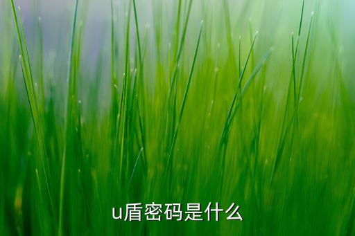 u盾需要設(shè)置什么密碼是什么樣的，u盾密碼是什么