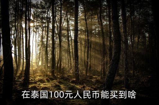 100元人民幣在泰國能買到什么，在泰國100塊錢能買些啥