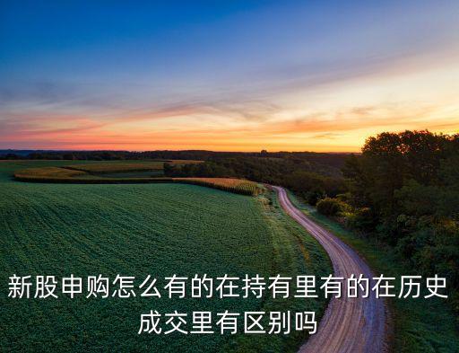 新股申購沒有顯示什么不同，為什么打新了股票帳戶卻沒有顯示