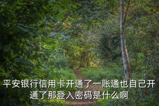 什么是一賬通密碼是什么情況，中國平安一賬通密碼是什么