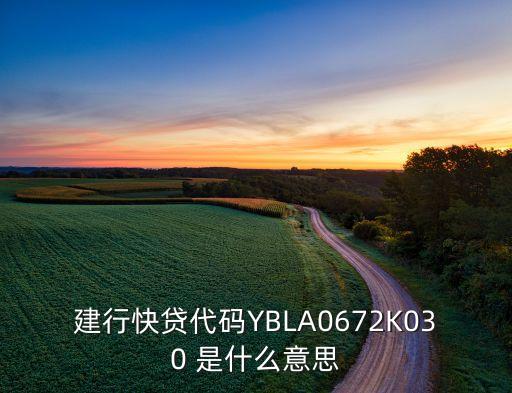 建行快貸代碼YBLA0672K030 是什么意思