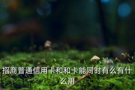 招商普通信用卡和和卡能同時(shí)有么有什么用