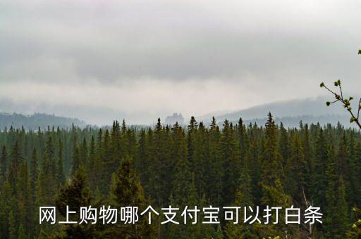 網上購物哪個支付寶可以打白條