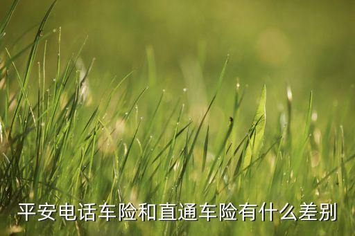 什么是平安保險(xiǎn)直通車，平安直通車險(xiǎn)和在實(shí)體店里買的平安車險(xiǎn)是一樣的嗎
