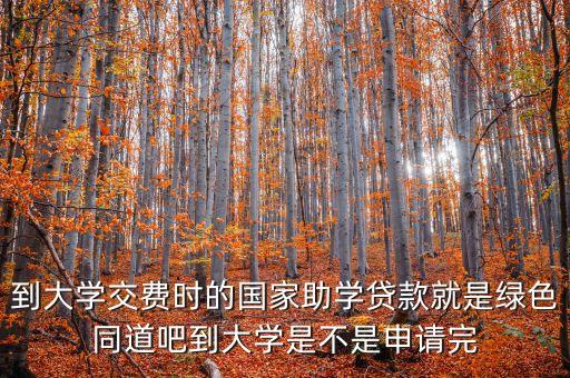 到大學(xué)交費(fèi)時(shí)的國(guó)家助學(xué)貸款就是綠色同道吧到大學(xué)是不是申請(qǐng)完