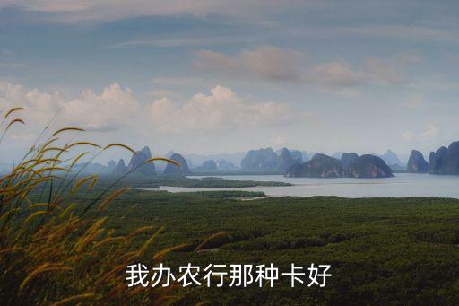 農(nóng)業(yè)銀行辦什么卡好，我辦農(nóng)行那種卡好
