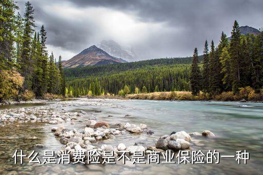 什么是消費(fèi)型的保險(xiǎn)，什么是消費(fèi)型保險(xiǎn)