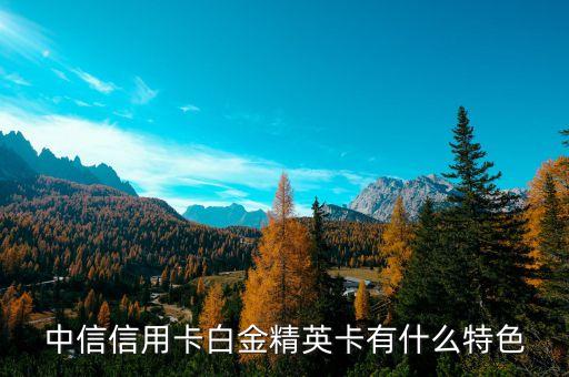 中信信用卡白金精英卡有什么特色