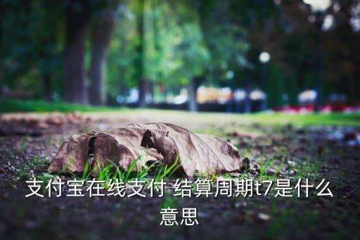 支付寶在線支付 結(jié)算周期t7是什么意思