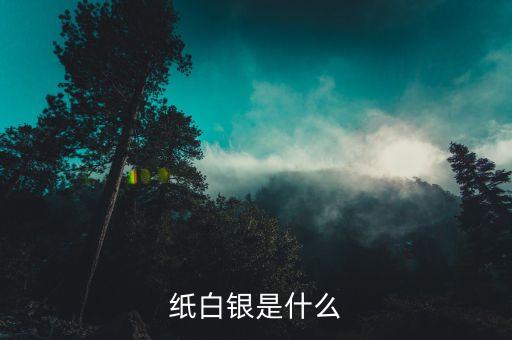 紙白銀什么意思，什么是紙白銀什么是白銀td