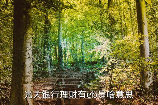 理財eb是什么意思，光大銀行理財有eb是啥意思
