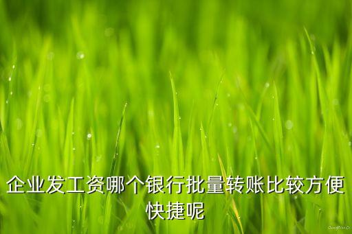 企業(yè)發(fā)工資哪個銀行批量轉(zhuǎn)賬比較方便快捷呢