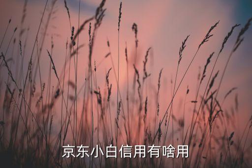 京東小白分有什么用，京東小白信用有啥用