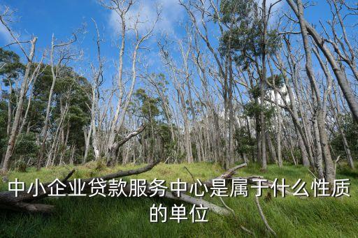 小企業(yè)信貸中心是什么，中小企業(yè)貸款服務(wù)中心是屬于什么性質(zhì)的單位