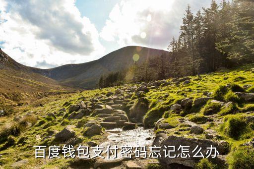 百度錢包支付密碼忘記怎么辦
