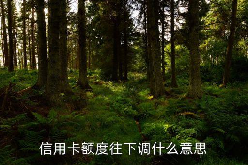 信用卡額度往下調(diào)什么意思