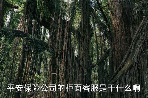 平安客服都做什么的，中國平安人壽保險(xiǎn)客服都干什么