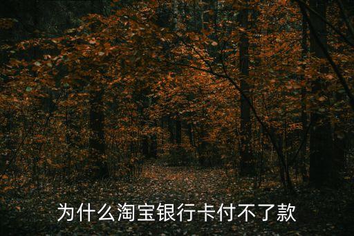 為什么淘寶卡不能付款，為什么淘寶銀行卡付不了款