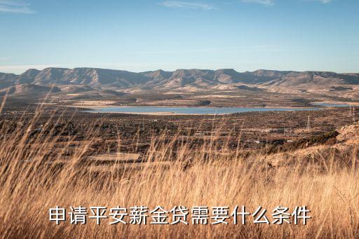 申請(qǐng)平安薪金貸需要什么條件