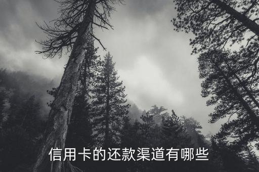 還信用卡用什么還款，銀行信用卡怎么還款