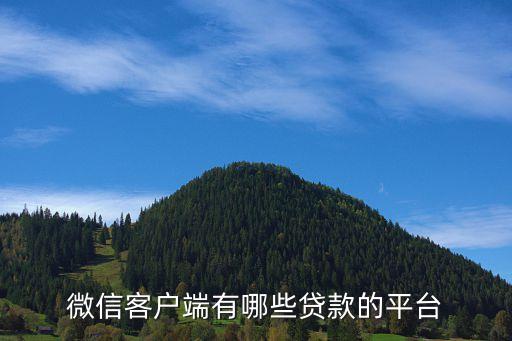 微信客戶端有哪些貸款的平臺(tái)