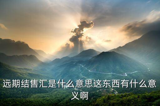 從結(jié)售匯能看什么，結(jié)售匯的意義