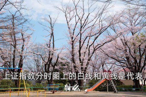 上證指數(shù)分時(shí)圖上的白線(xiàn)和黃線(xiàn)是代表什么