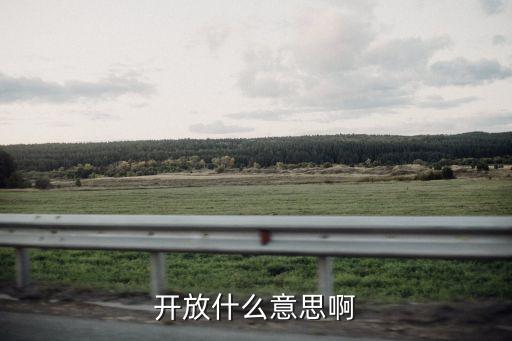 開放什么意思啊