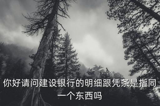 你好請(qǐng)問(wèn)建設(shè)銀行的明細(xì)跟憑條是指同一個(gè)東西嗎