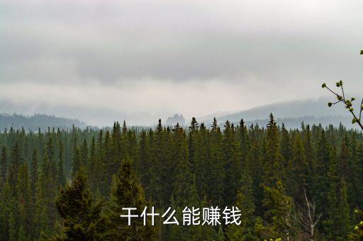 干什么能賺錢
