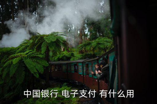 中國銀行 電子支付 有什么用