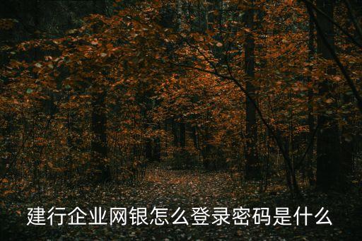 建行企業(yè)網(wǎng)銀怎么登錄密碼是什么
