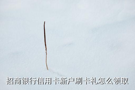 招商銀行信用卡首刷禮是什么意思，招商信用卡首刷禮是指第一次刷卡還是前兩個月刷卡滿足那條件的