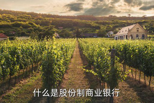 銀股制是什么，什么是股份制商業(yè)銀行
