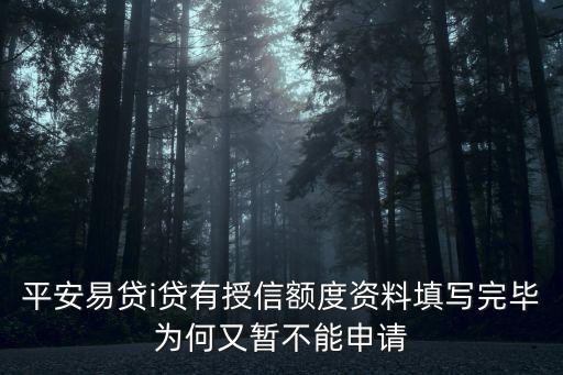 平安易貸i貸有授信額度資料填寫完畢為何又暫不能申請(qǐng)