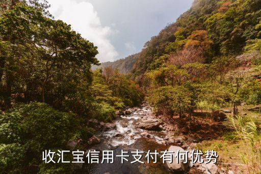收匯寶信用卡支付有何優(yōu)勢