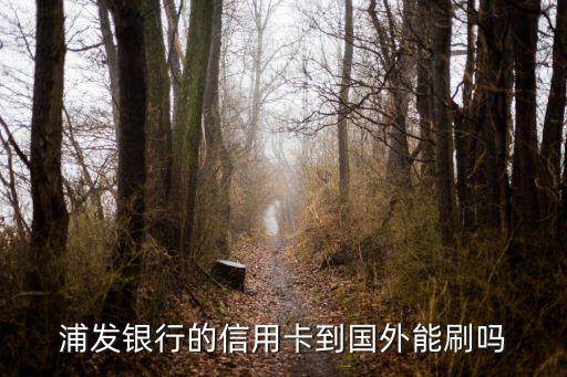 浦發(fā)銀行的信用卡到國(guó)外能刷嗎