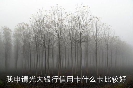 光大銀行信用卡辦什么卡好，光大銀行哪種信用卡好