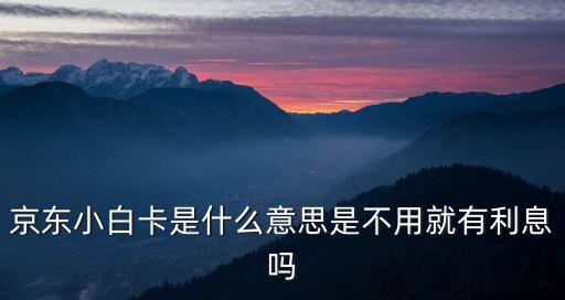 京東小白卡是什么意思是不用就有利息嗎