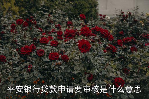 平安銀行貸款申請要審核是什么意思