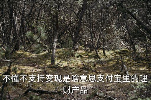 不懂不支持變現(xiàn)是啥意思支付寶里的理財(cái)產(chǎn)品