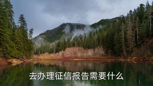 去辦理征信報告需要什么