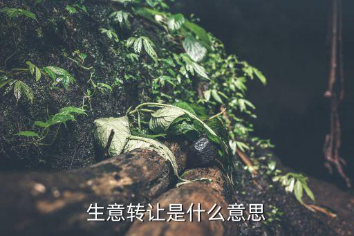 生意轉(zhuǎn)讓是什么意思