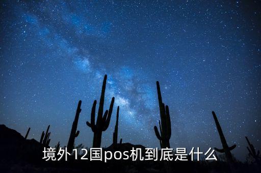 境外12國pos機到底是什么
