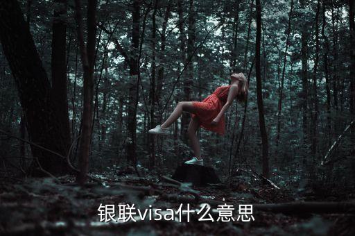 銀聯(lián)visa什么意思