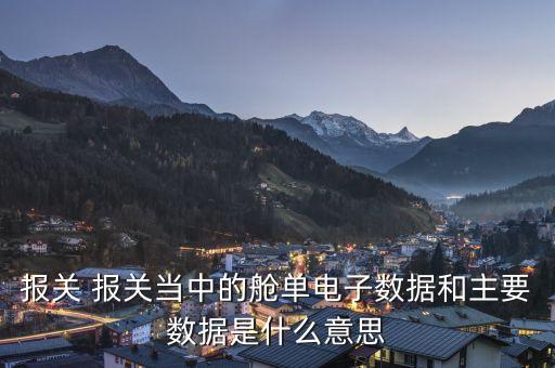 報關(guān) 報關(guān)當中的艙單電子數(shù)據(jù)和主要數(shù)據(jù)是什么意思
