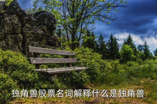 什么是獨(dú)角獸股票，獨(dú)角獸概念股票是什么意思