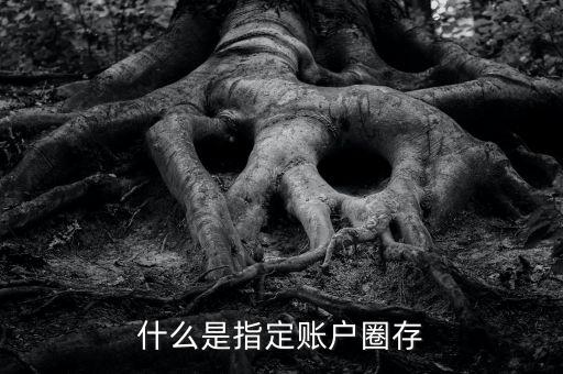什么是指定賬戶圈存
